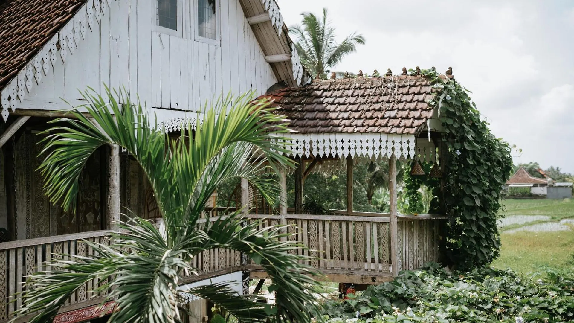 Guest house The Rice Joglo Eco-Stay Ubud
