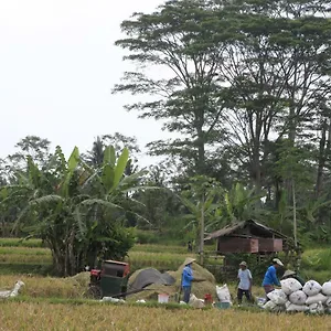 Guest house Pondok Gepokan Homestay, Ubud (Bali)