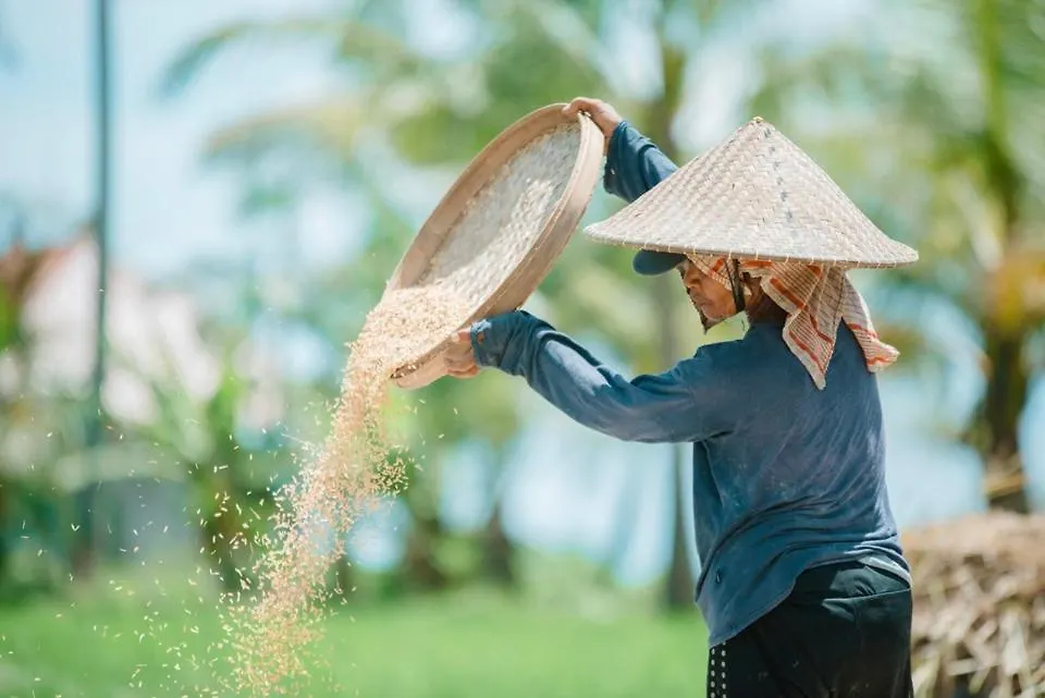 Farm stay The Rice Joglo Eco-Stay Ubud  Indonesia