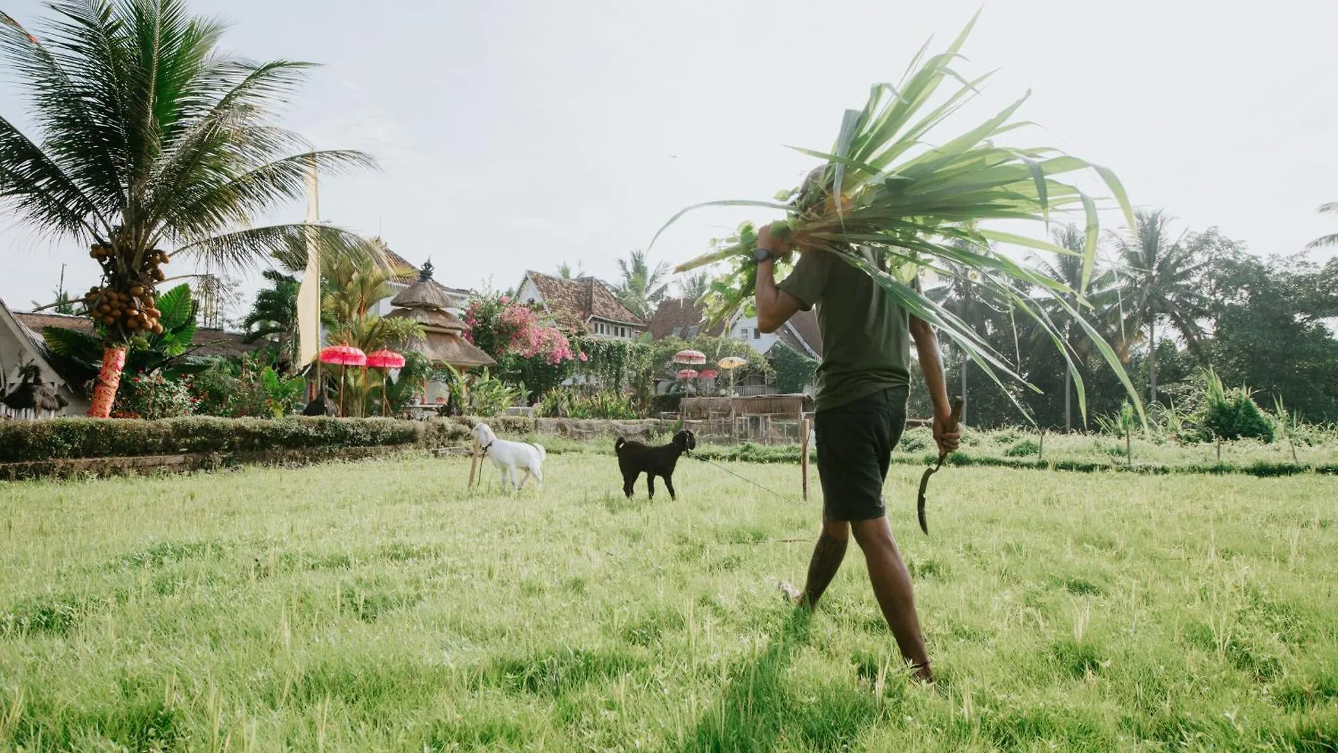 Pensionat The Rice Joglo Eco-Stay Ubud