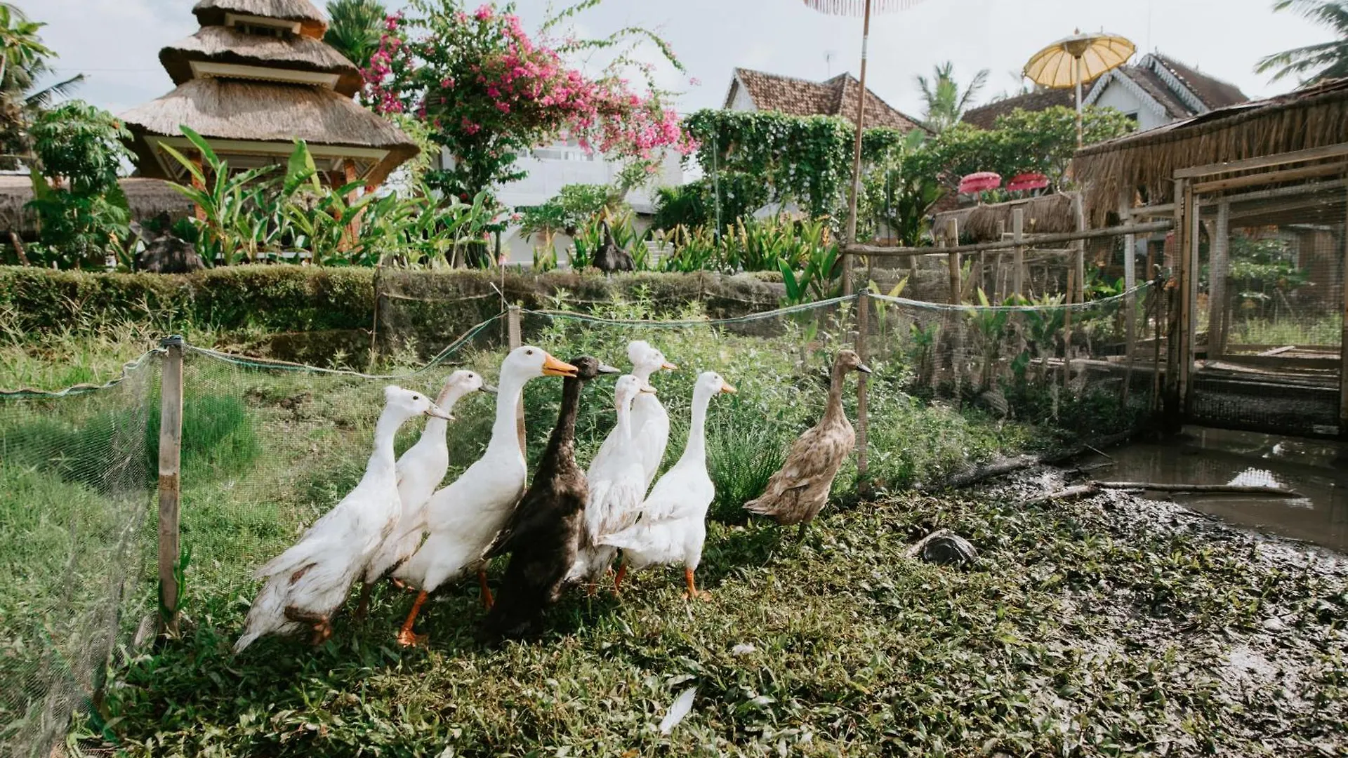 The Rice Joglo Eco-Stay Ubud  Farm stay