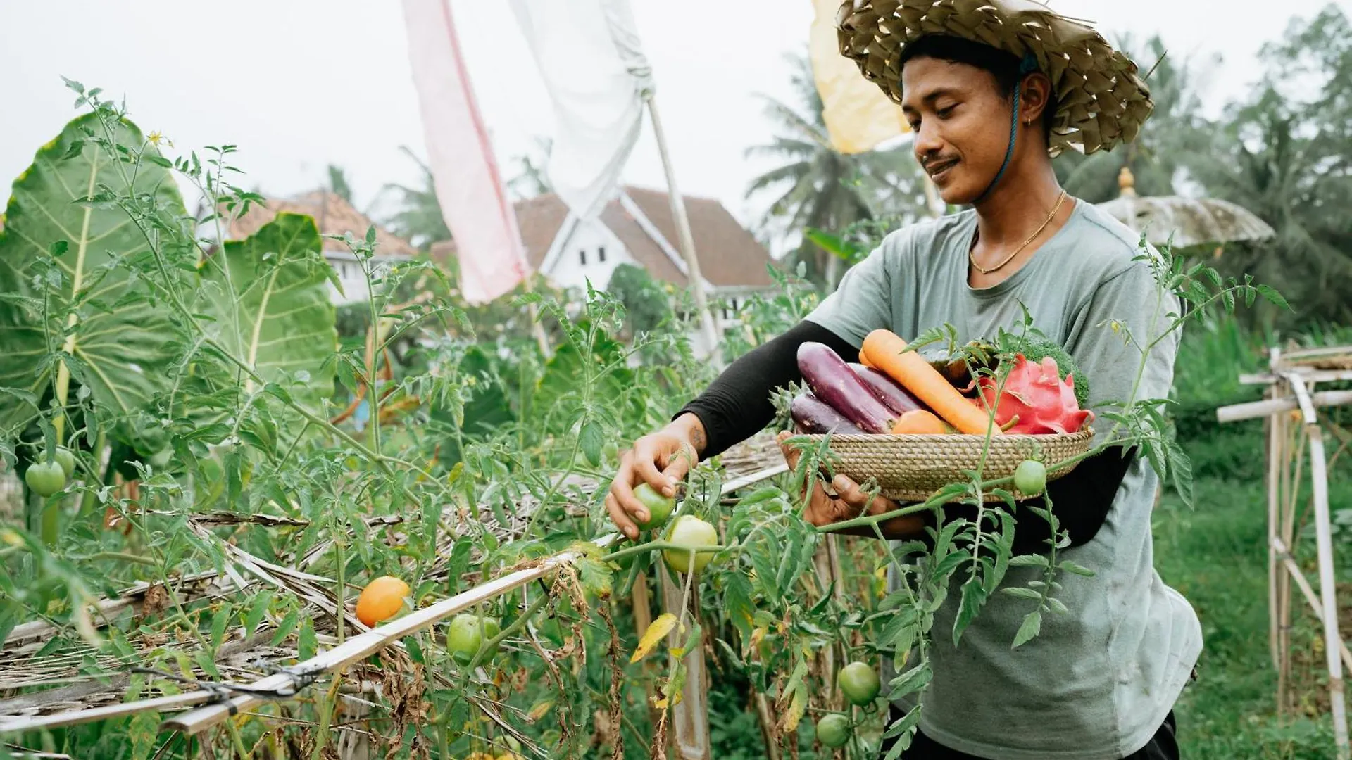 Farm stay The Rice Joglo Eco-Stay Ubud