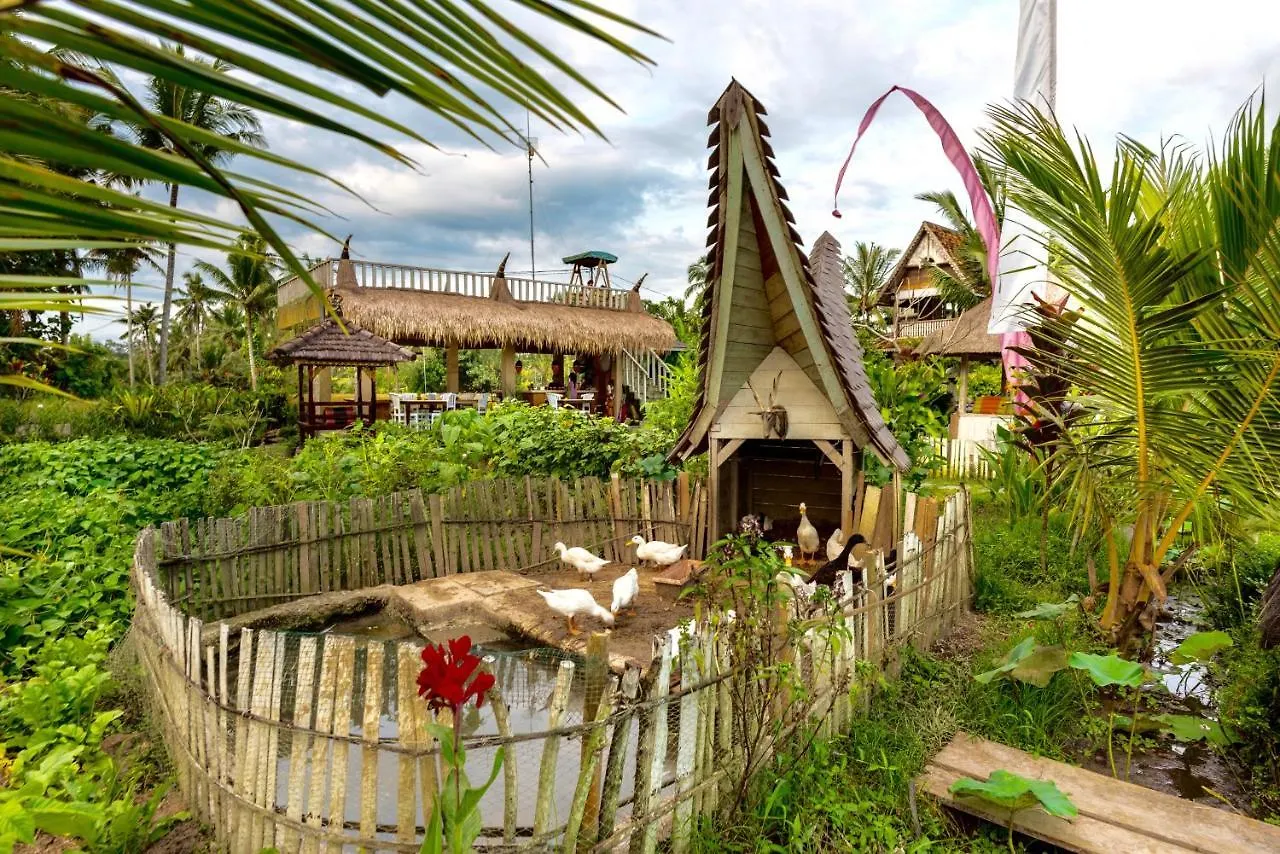 مزرعة للإقامة The Rice Joglo Eco-Stay أوبود إندونيسيا
